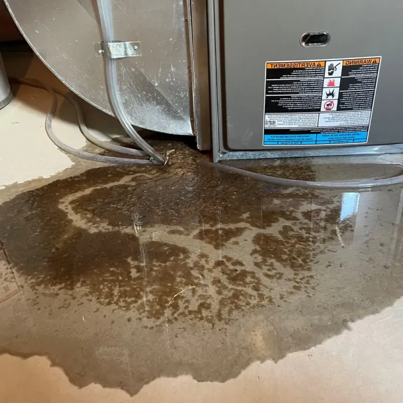 Pipe Burst and Leak Restoration in Northport, NY